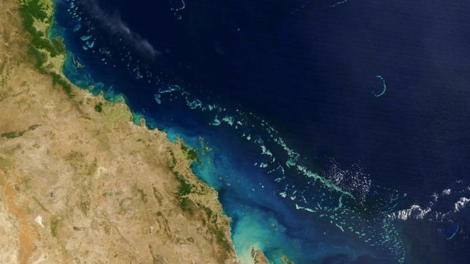 The Great Barrier Reef is the world's largest living structure and can be seen from space.
