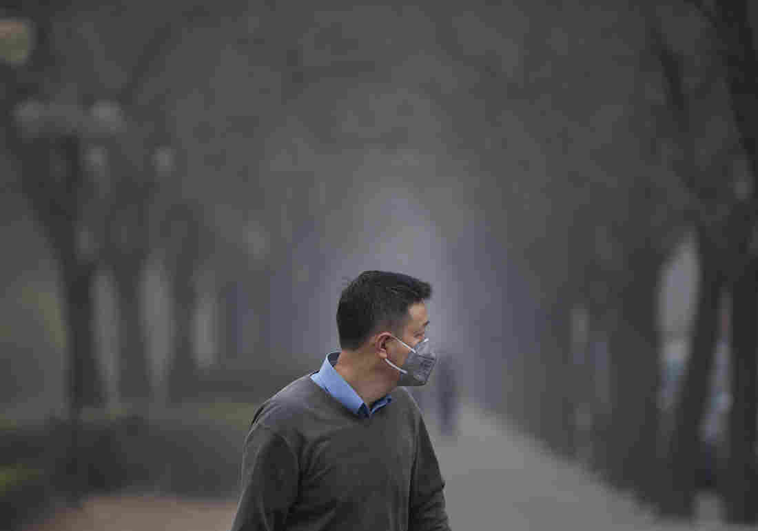 A masked man walks past trees shrouded with pollution haze in Beijing, China. Andy Wong/AP 