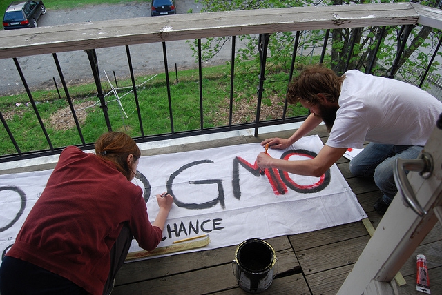 People work on a GMO protest sign.