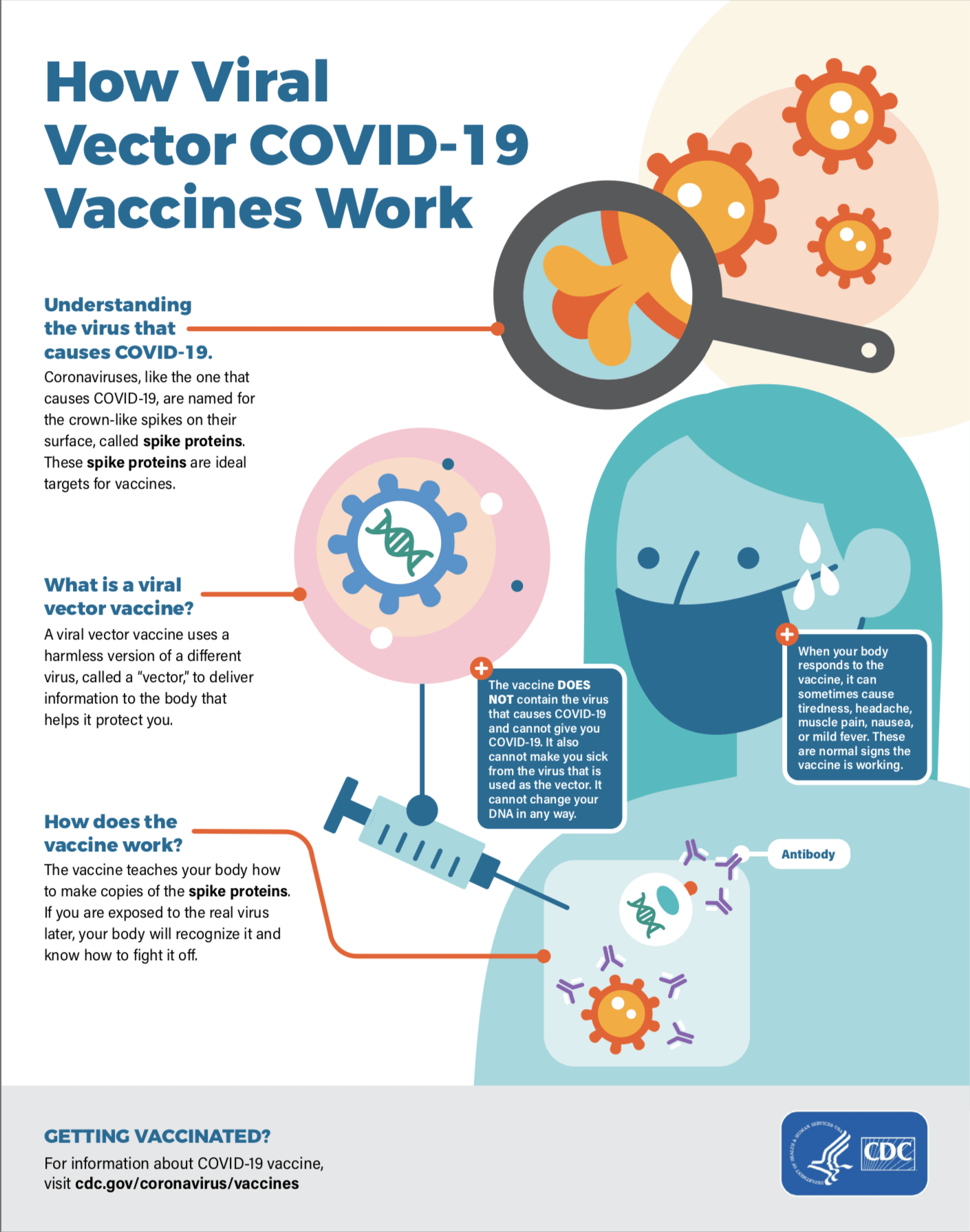 How the Vaccines Work